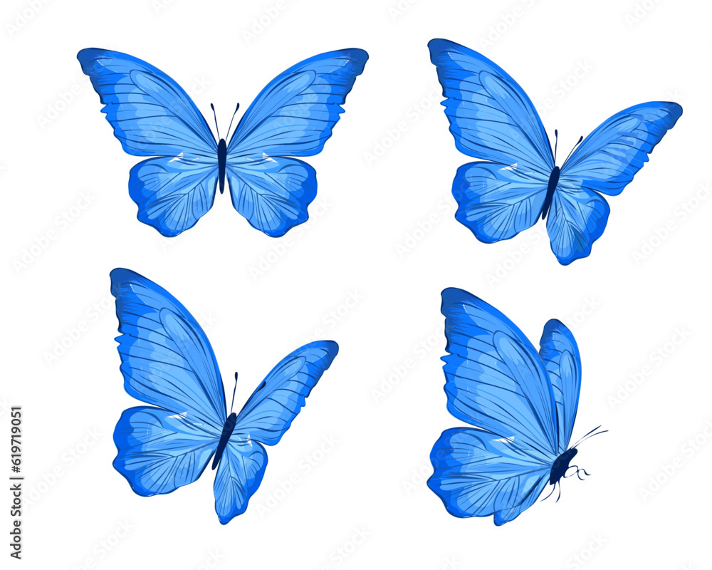 set of blue butterflies set of blue butterflies