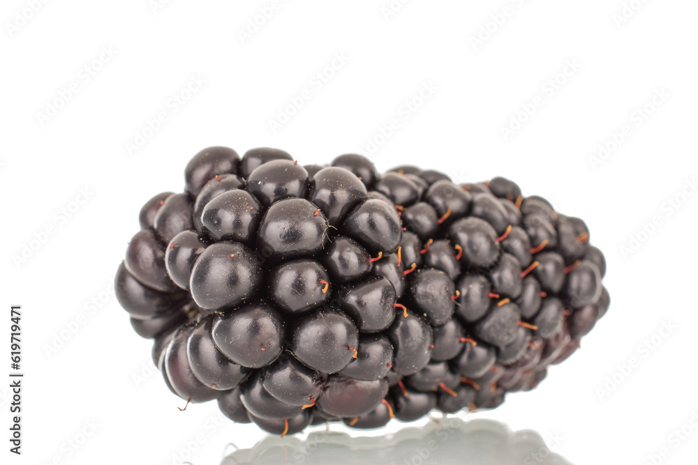 One organic blackberry berry, macro, isolated on white background. One organic blackberry berry, macro, isolated on white background.