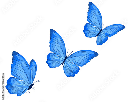 set of blue butterflies