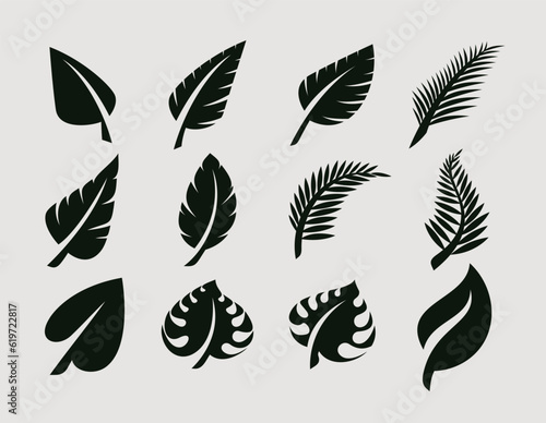 Silhouette of organic leaf design set
