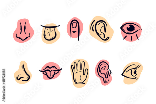 Collection of hand drawn simple doodle icons representing five senses. Human organs drawing vector sketch illustration
