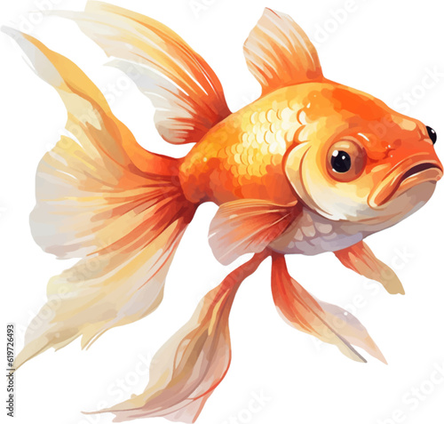 goldfish figure body style white background.