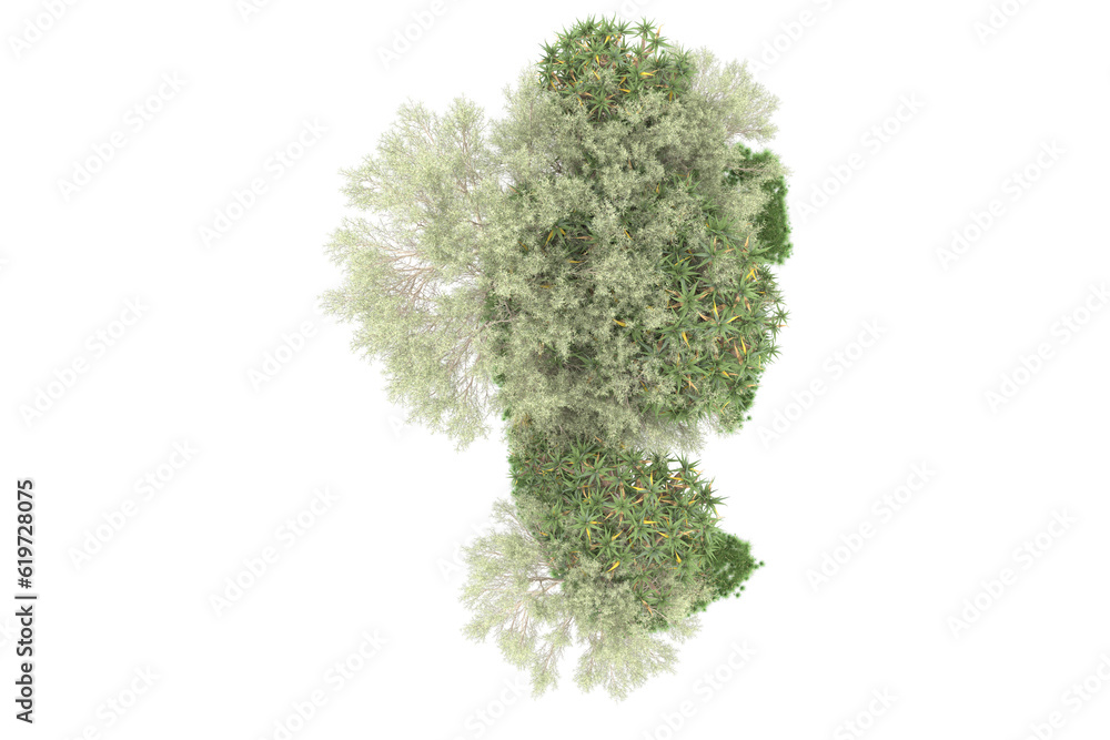 Tropical island isolated on transparent background. 3d rendering - illustration Tropical island isolated on transparent background. 3d rendering - illustration