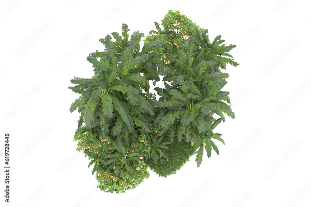 Fototapeta premium Tropical island isolated on transparent background. 3d rendering - illustration