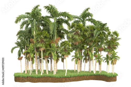 Tropical island isolated on transparent background. 3d rendering - illustration