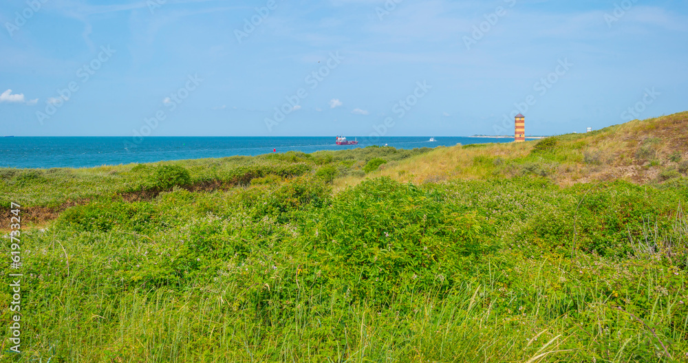 Sand beach along a sea under a dark blue cloudy sky in bright sunlight in summer, Zeeland, the Netherlands, June, 2023 Sand beach along a sea under a dark blue cloudy sky in bright sunlight in summer, Zeeland, the Netherlands, June, 2023