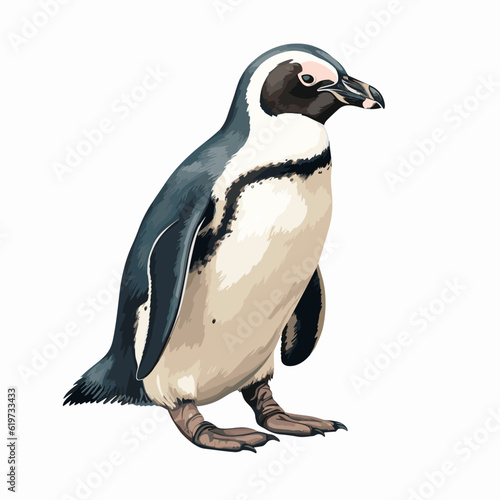 Watercolor Vector Illustration of African Penguin