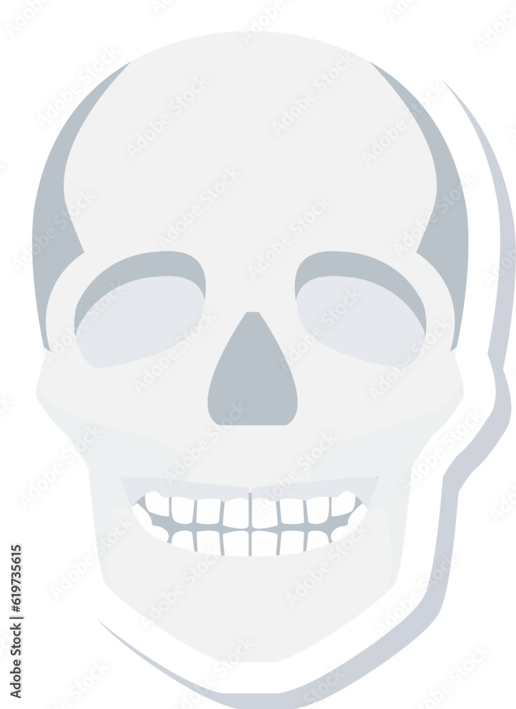 Fototapeta premium Skull