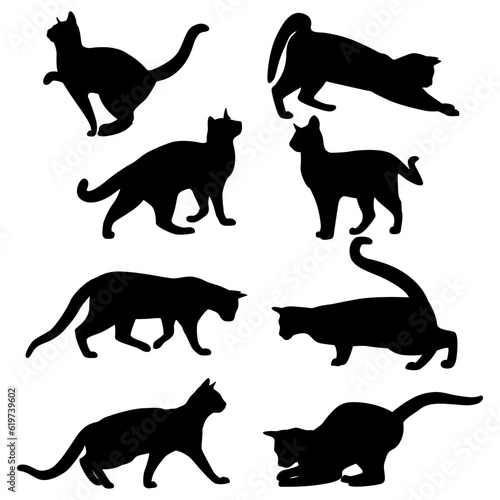 silhouettes of cats