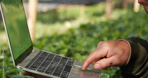 Smart farmer using laptop in eco green farm sustainable quality control. Close up Hand typing laptop computer quality control plant tree. Farmer hands using technology in eco Farmland biotechnology