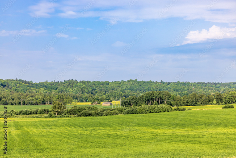 Lush green fields in a beautiful landscape view Lush green fields in a beautiful landscape view