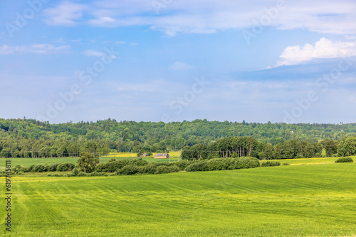 Lush green fields in a beautiful landscape view