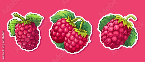 Vector raspberry set sticker isolated on white. Cartoon flat style. illustration Red yammi berry with green leaves Healthy diet vegetarian eco food. Decoration for packaging, menu etc