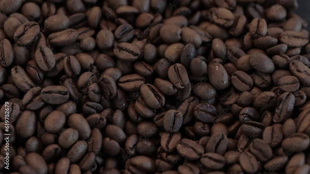 Coffee beans on a metal tray. Coffee beans on the metal plate. A lot of coffee beans. Coffee beans on a metal tray. Coffee beans on the metal plate. A lot of coffee beans.