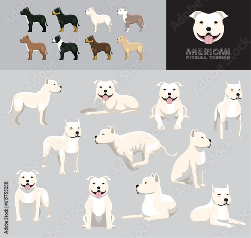 Dog American Pit Bull Terrier Cartoon Vector Illustration Color Variation Set White Coat