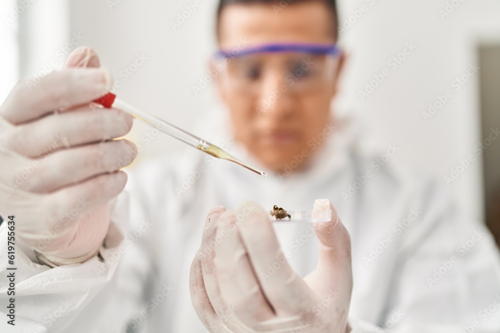 Young latin man scientist pouring liquid on cannabis herb sample at laboratory Young latin man scientist pouring liquid on cannabis herb sample at laboratory