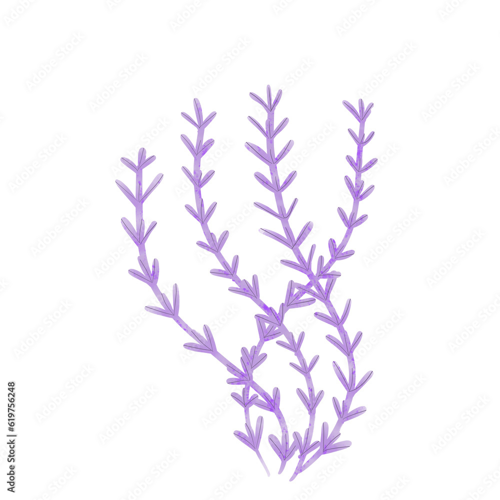flowers flowers