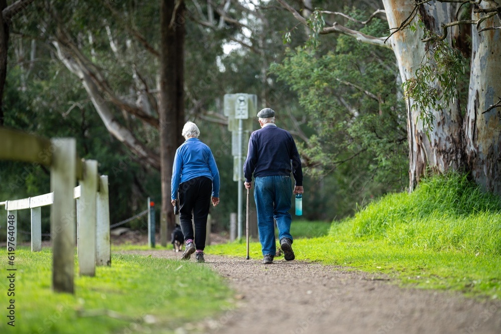 old couple walking with a little dog on a path in a park by the forest. elderly couple in love in australia in spring old couple walking with a little dog on a path in a park by the forest. elderly couple in love in australia in spring