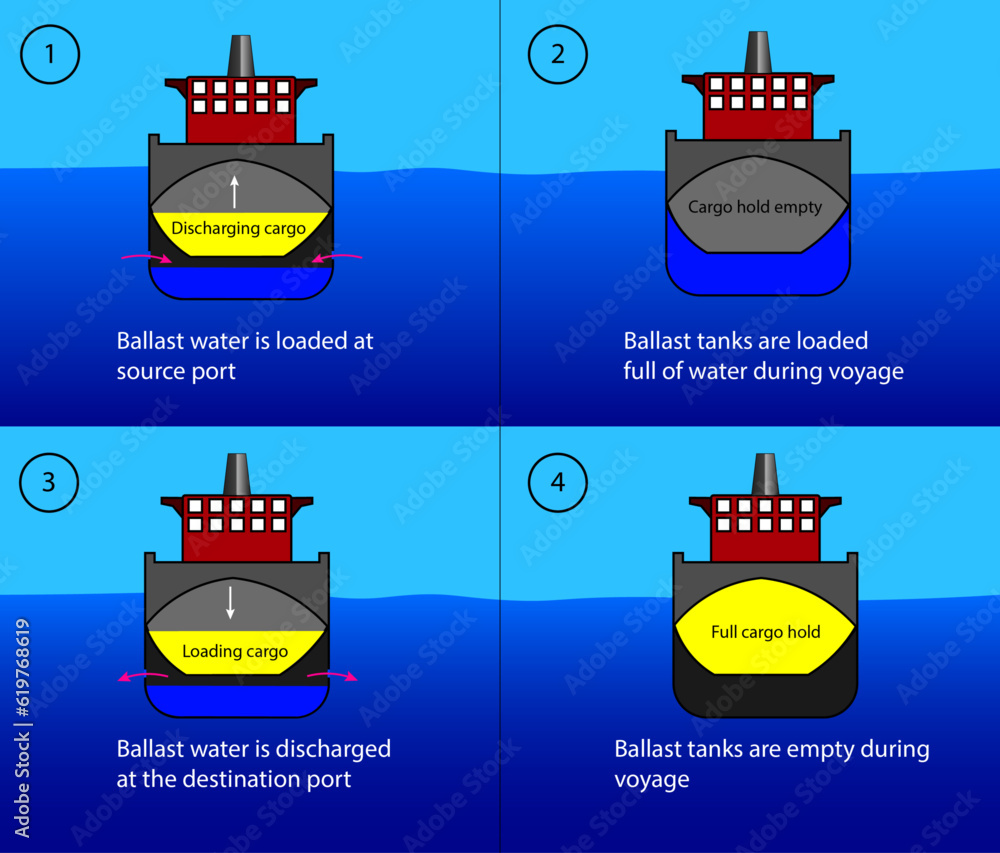 Diagram of the cargo ship's ballast tanks, how it works Stock Vector Adobe Stock