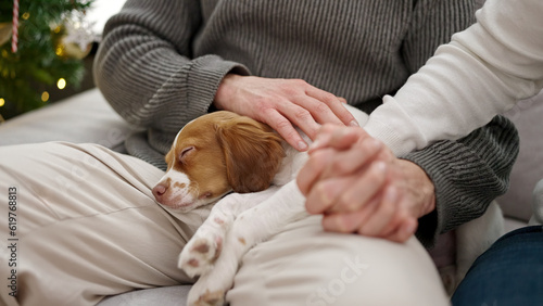 Obraz na plátně Two men couple celebrating christmas sitting on sofa pet dog at home