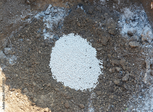  Ammonium nitrate fertilizer for fruit tree planting. Adding chemical fertilizers into a planting hole before planting the tree photo