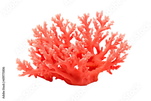 Fire coral on transparent background  PNG .  generative artificial intelligence 