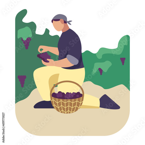 Farmer collecting grapes in basket. Wine production industry. Process of harvesting grapes to make wine. Process of making alcoholic drinks. Vector flat illustration in blue and green colors