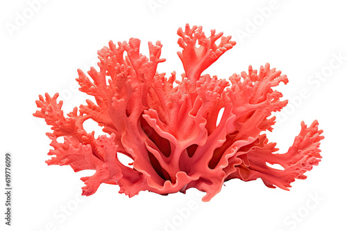 Goniastrea coral on transparent background (PNG)., generative artificial intelligence 