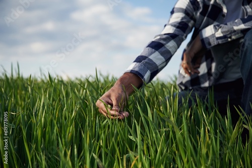 Man's hand touching the grass on the agricultural field
