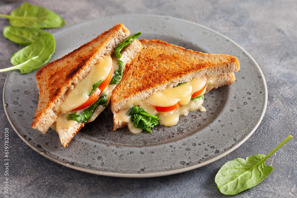 grilled cheese spinach and tomato sandwich on concrete background