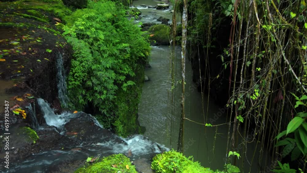 video of a jungle to a cliff on a high mountain with a rock river and green trees video of a jungle to a cliff on a high mountain with a rock river and green trees