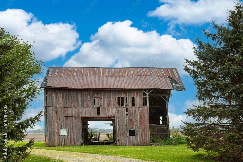 Weathered barn with two trees