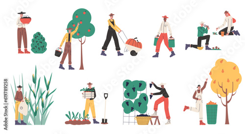Cartoon harvesting farmers. People with baskets and buckets collecting natural crop. Persons pluck fruits and pick vegetables. Agricultural workers in overalls. Vector gardeners set