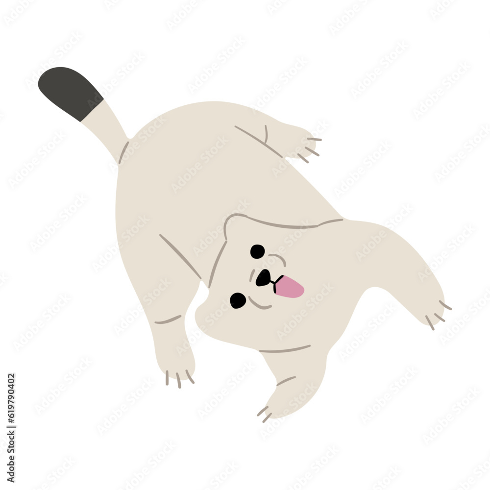 Stoats,Ermine Single 34 on a white background, vector illustration. Stoats,Ermine Single 34 on a white background, vector illustration.