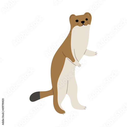 Stoats Ermine Single 32 on a white background  vector illustration. 