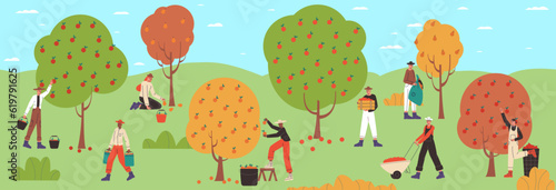 Group harvesting process. Cartoon farmers picking fruits from garden trees. Men and women collecting apple harvest in orchard. Agricultural workers. Natural food cultivation. Vector concept