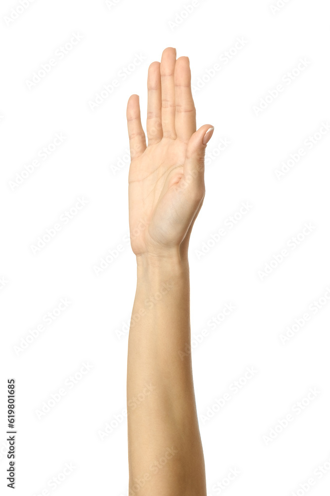 Raised hand voting or reaching. Woman hand gesturing isolated on white Raised hand voting or reaching. Woman hand gesturing isolated on white