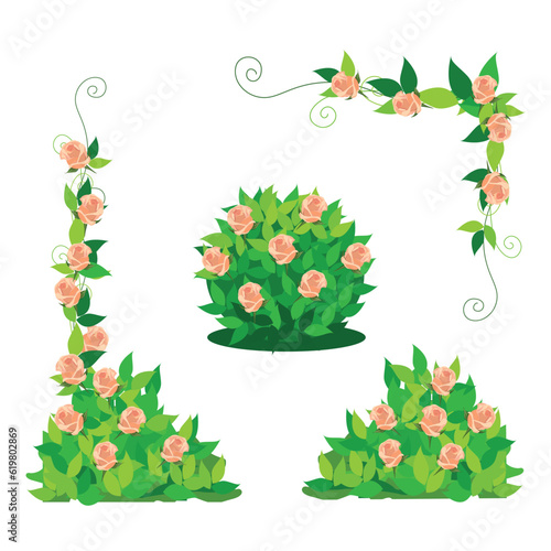 Vector set of blooming rose bushes and weaving roses in pink on a white background. Floral elements for wedding decorations, postcards or social networks on a white background.