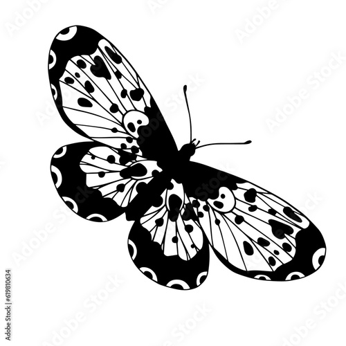 Sketch, doodle butterfly, night moth.Vector graphics.