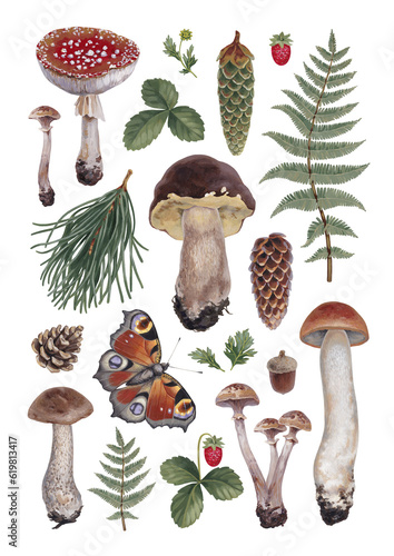 Hand painted acrylic botanical illustrations of forest nature. Cottegecore style. Perfect for prints, packaging design, posters, stationery and other goods