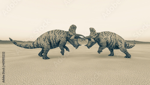 triceratops are fighting in the desert