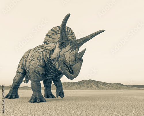 triceratops is passing by in the desert on the afternoon © DM7