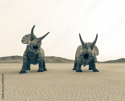 two triceratops are calling the others in the desert on the afternoon