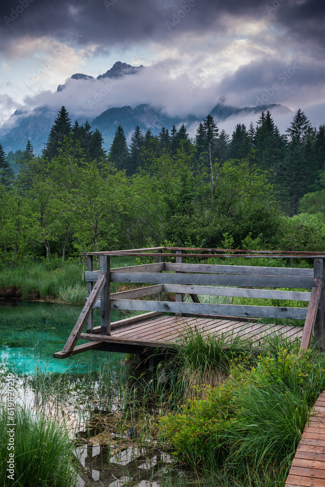 Obraz premium Zelenci Springs nature reserve near Kranjska Gora, Slovenia. Sava river source
