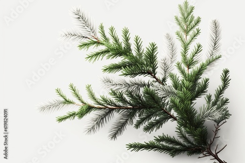 Christmas Tree Branches on White Background  Generative AI