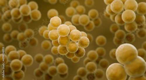 MRSA bacteria, Antibiotic resistant Staphylococcus aureus photo