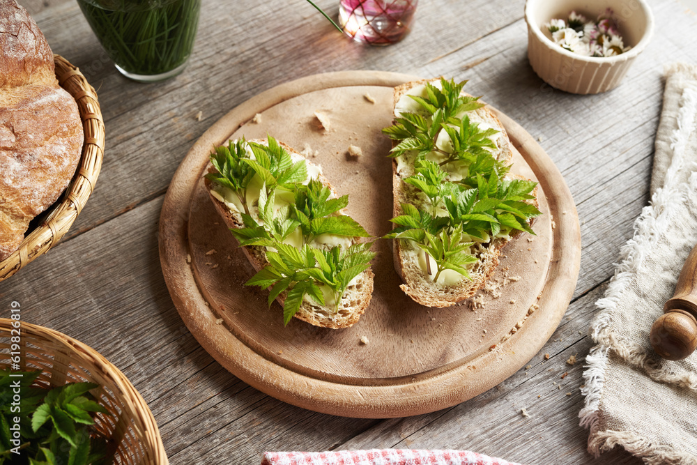 Slices of bread with young goutweed leaves and butter Slices of bread with young goutweed leaves and butter