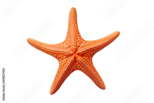 Starfish isolated on transparent background - Ocean marine animal. AI