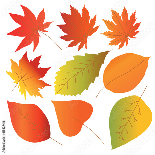 Autumn leaves vector illustration with gradient in warm yellow, orange and red tones. One line drawing of autumn leaf. Autumn script font and leaves isolated on white background vector illustration.