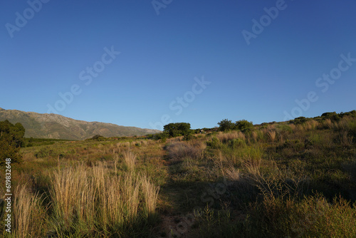 landscape with sky